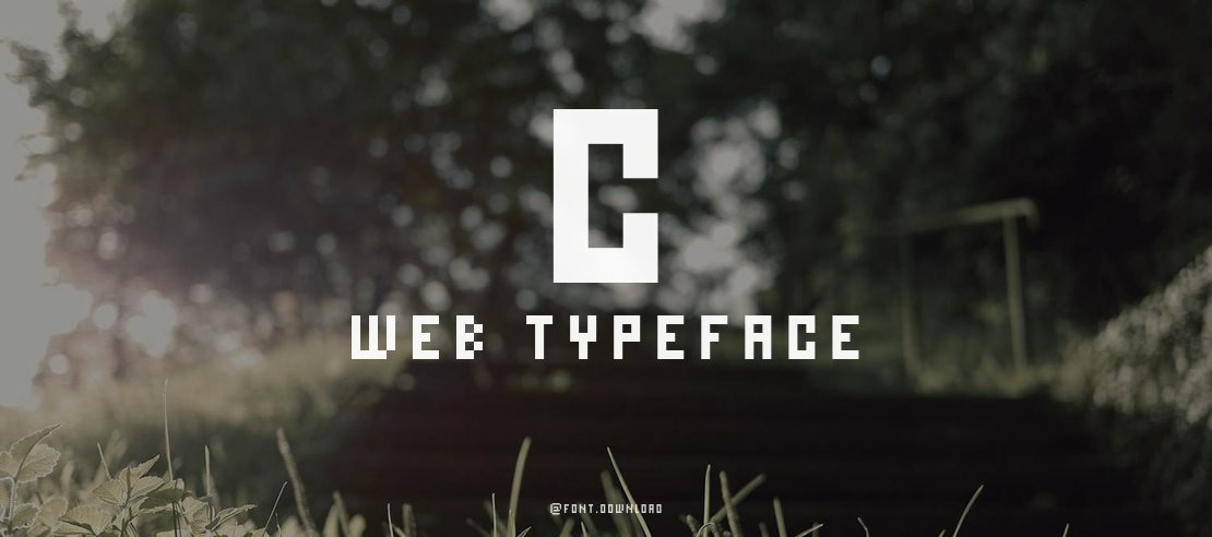 C Web Font Family