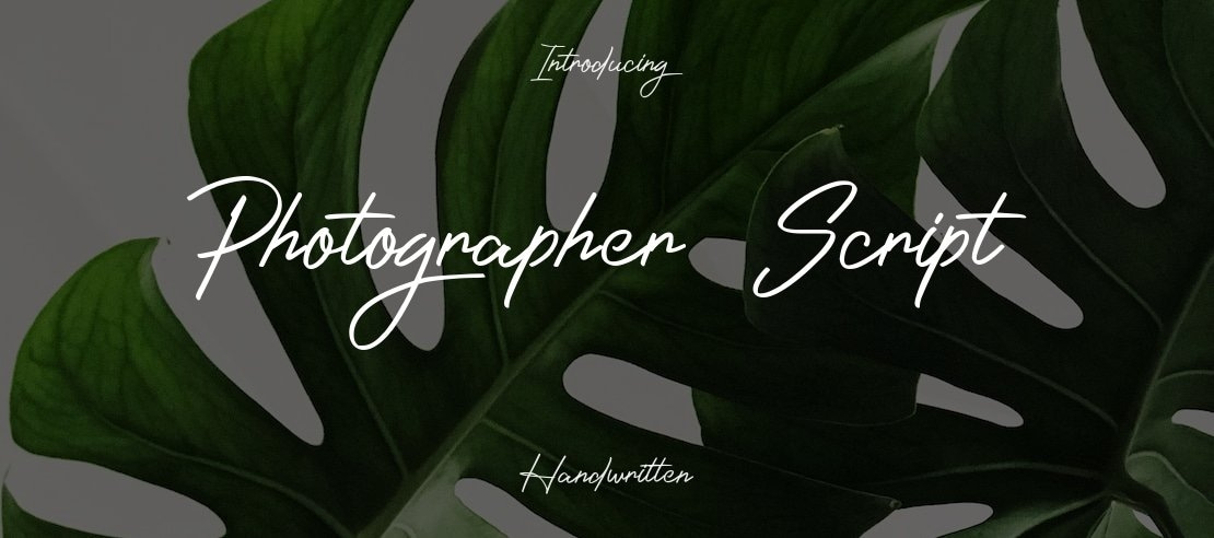 Photographer_Script Font