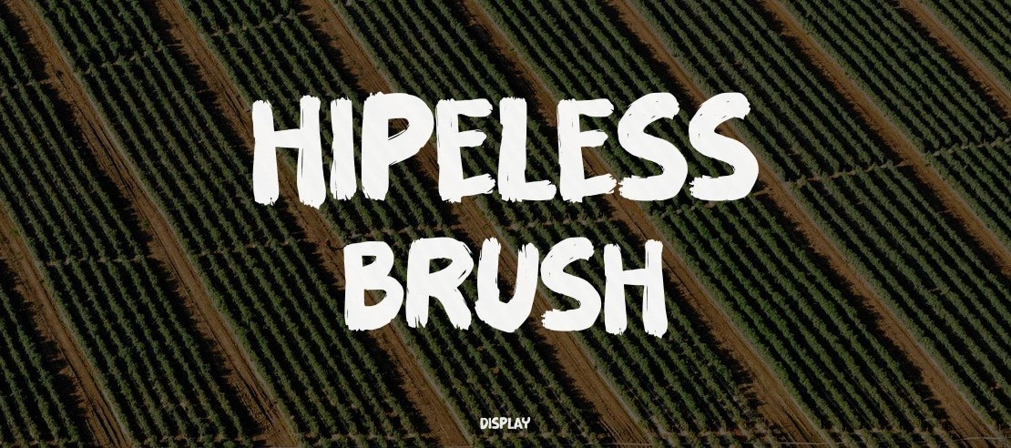 Hipeless Brush Font