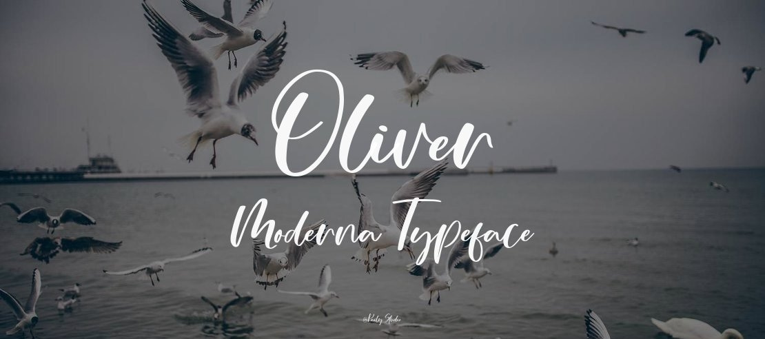 Oliver Moderna Font