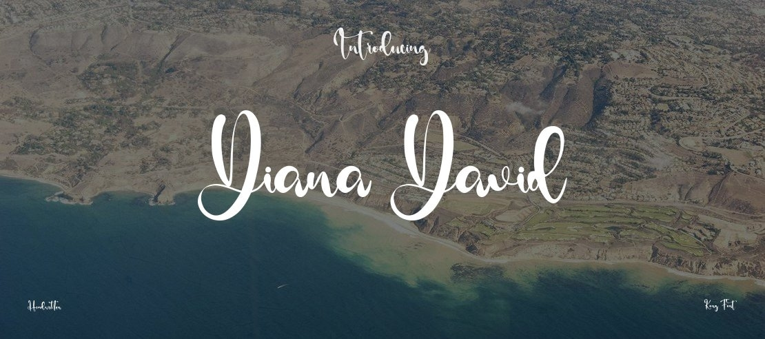 Diana David Font