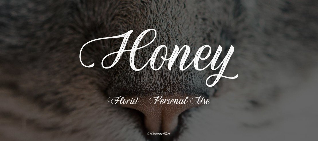 Honey Florist - Personal Use Font
