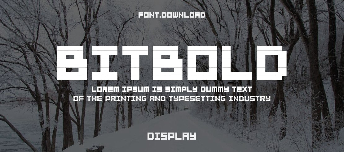 BitBold Font