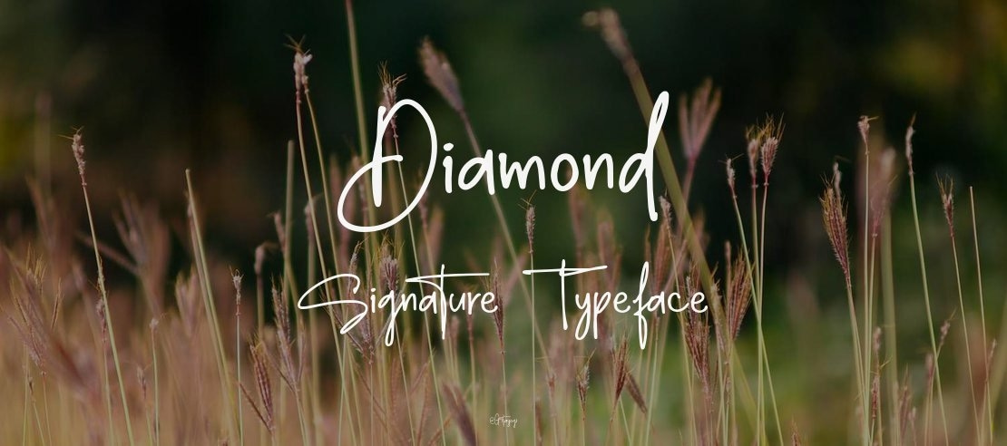 Diamond Signature Font