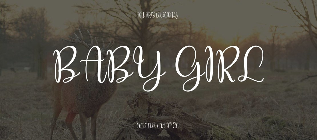 Baby Girl Font