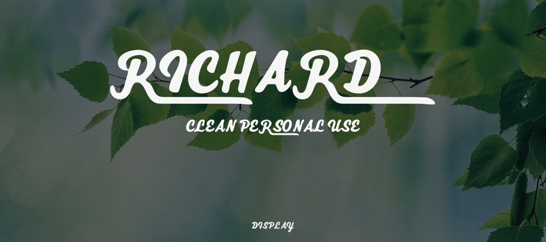 Richard Clean Personal Use Font