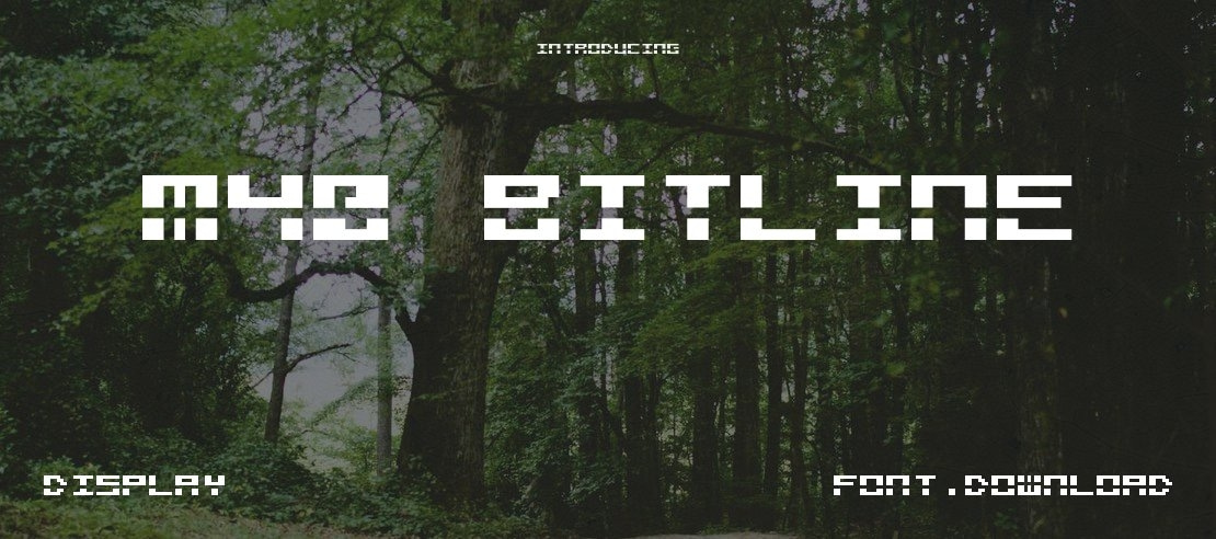 M40 Bitline Font