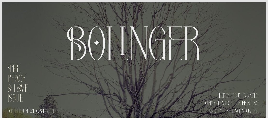 Bolinger Font