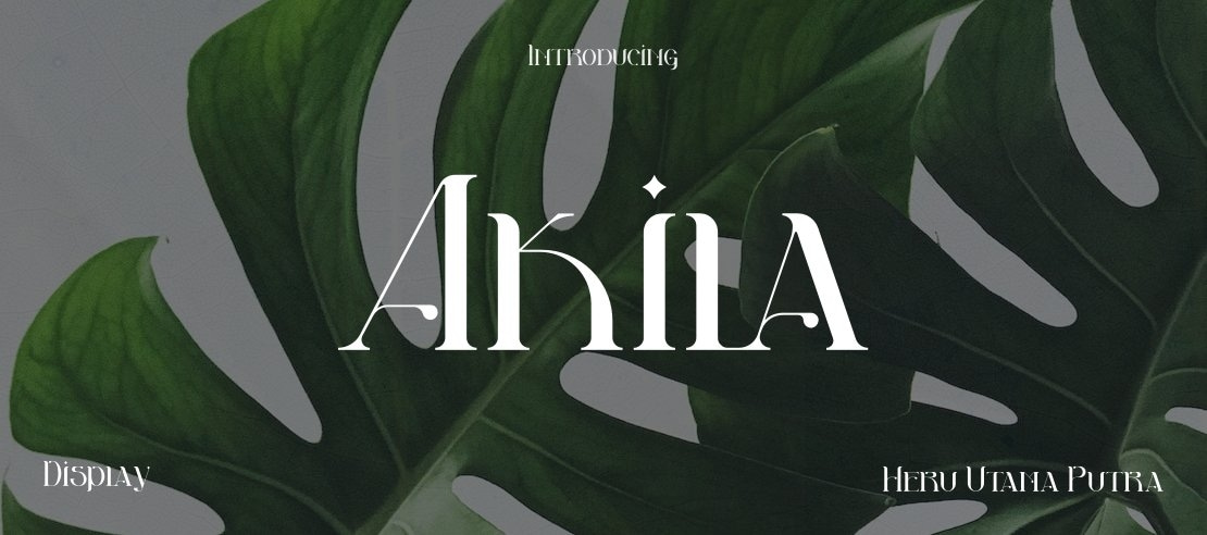 Akila Font