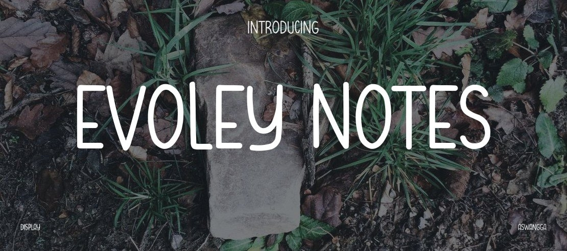 Evoley Notes Font