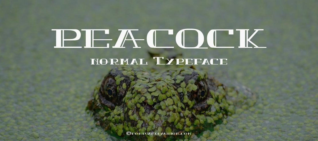 PEACOCK normal Font