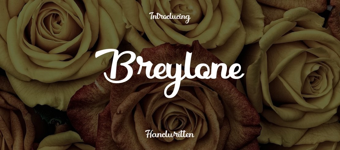 Breylone Font