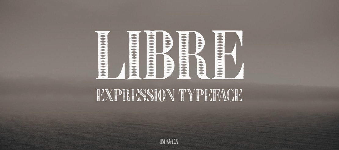 Libre Expression Font