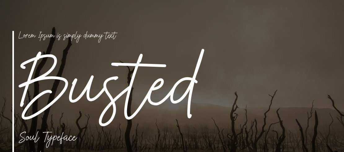 Busted Soul Font