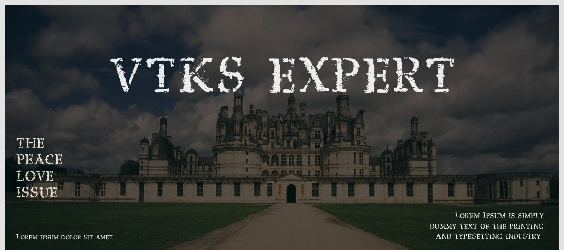 vtks expert Font