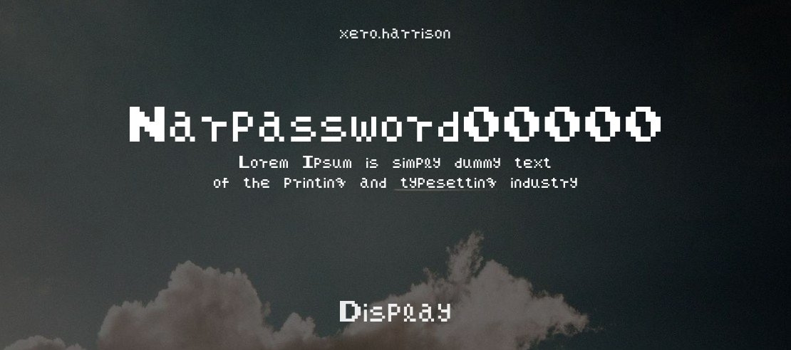 Narpassword00000 Font Family