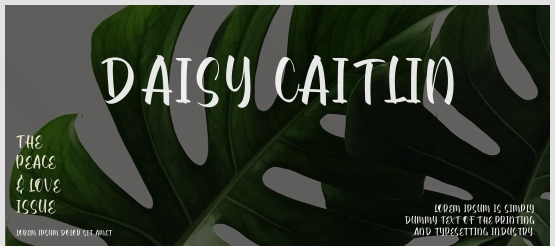 Daisy Caitlin Font