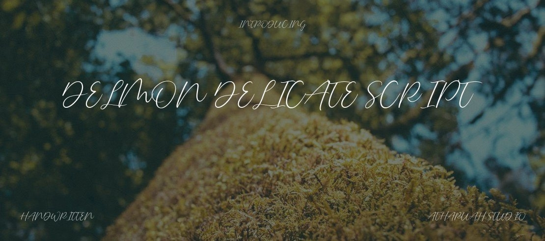 Delmon Delicate Script Font