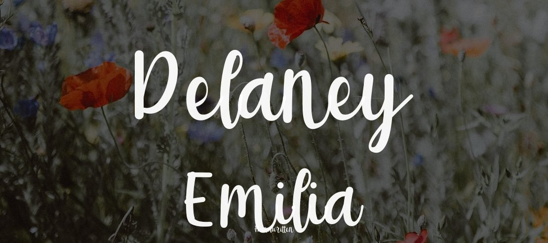 Delaney Emilia Font
