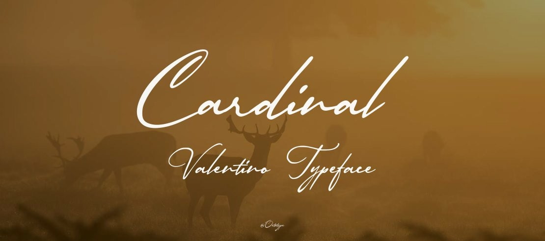 Cardinal Valentino Font