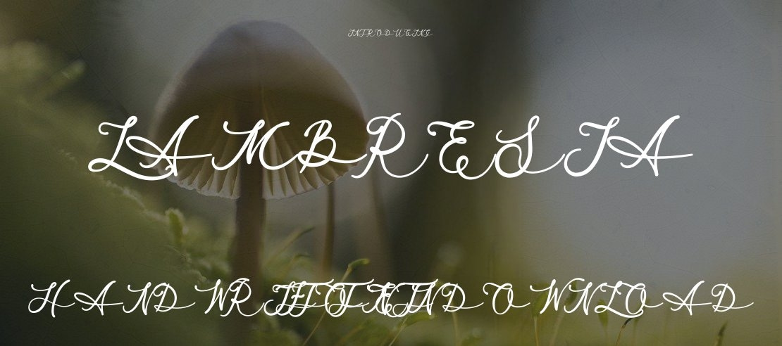 Lambresia Font