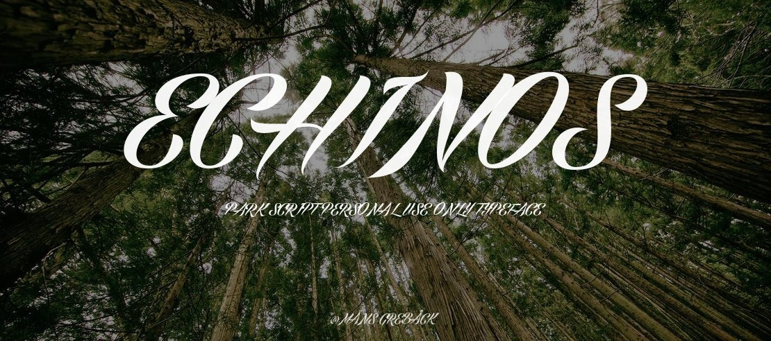 Echinos Park Script PERSONAL USE ONLY Font