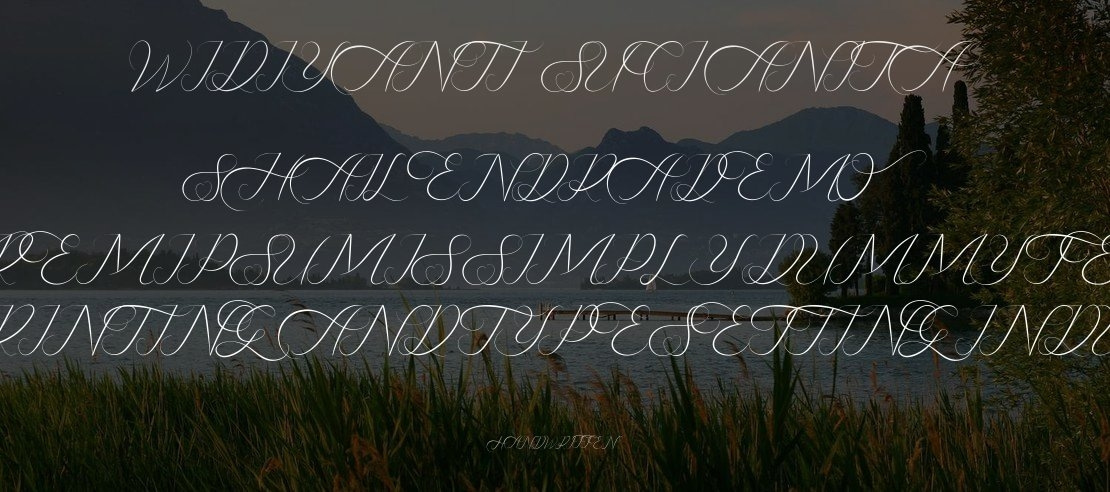 Shailendra Demo Font