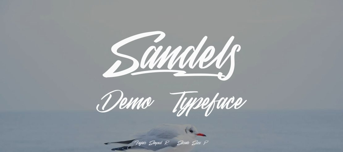 Sandels Demo Font