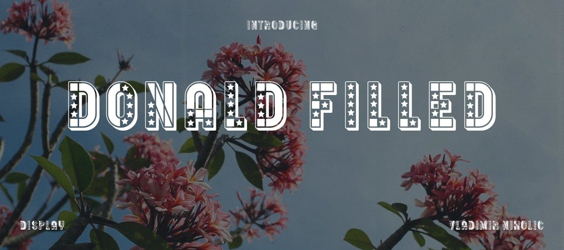 Donald Filled Font Family