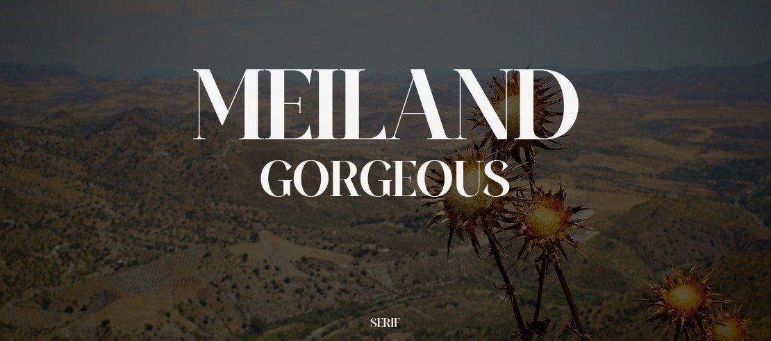 Meiland Gorgeous Font