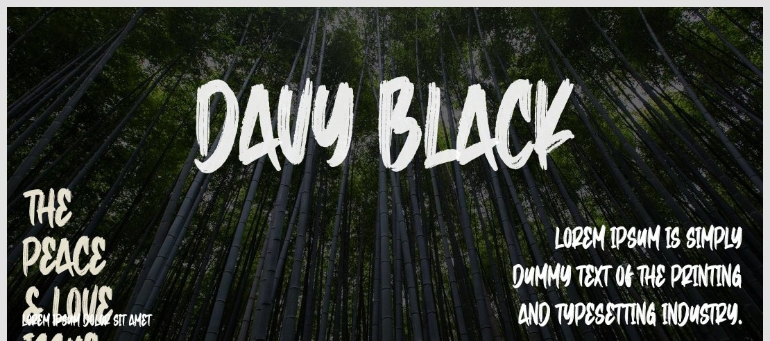 Davy Black Font