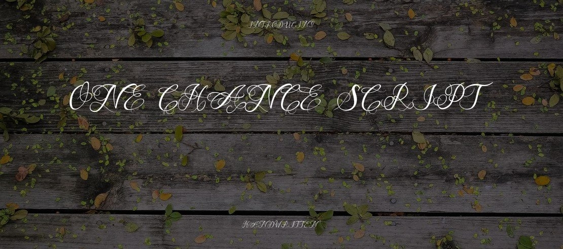 One Chance Script Font