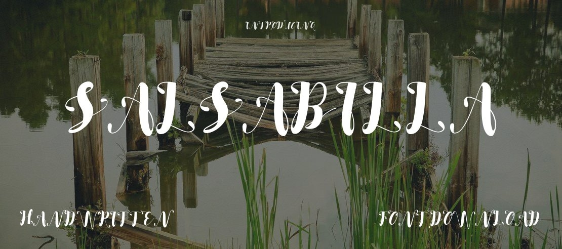 SALSABILLA Font