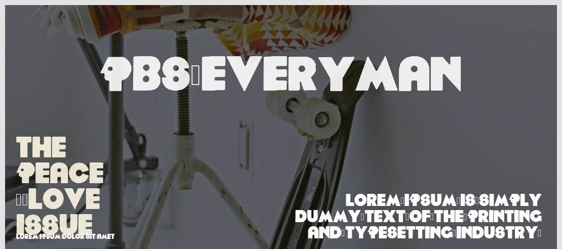 PBS Everyman Font