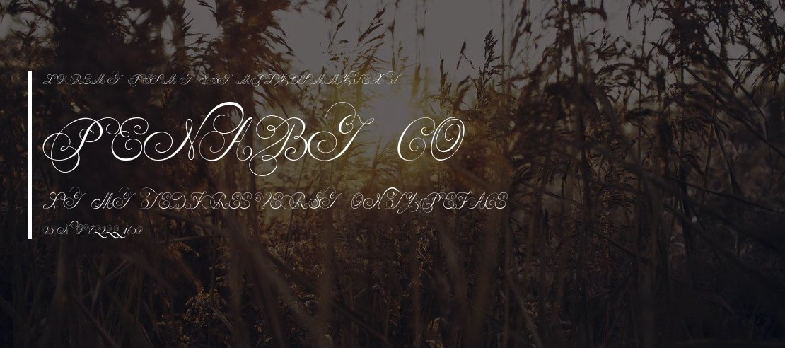 Penabico LIMITED FREE VERSION Font