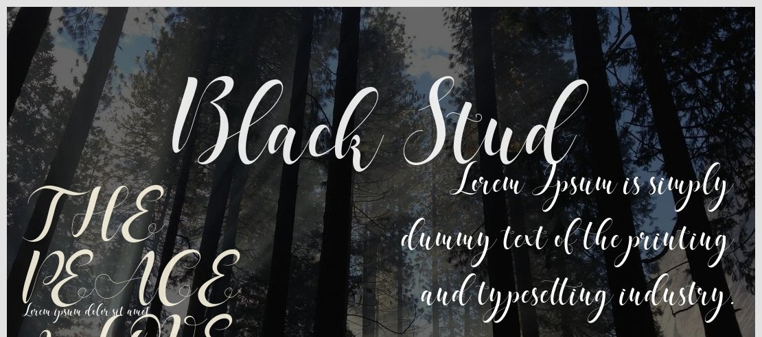 Black Stud Font