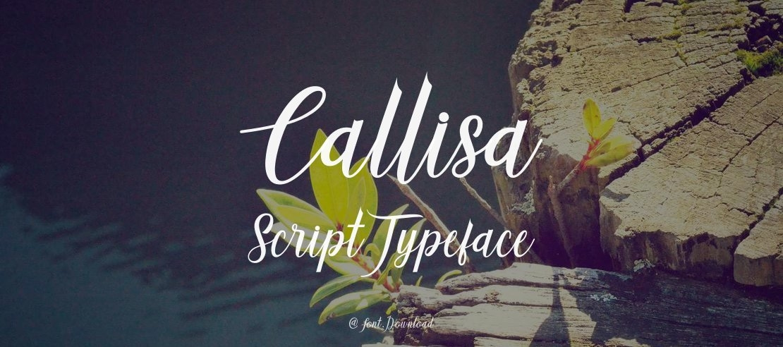 Callisa Script Font