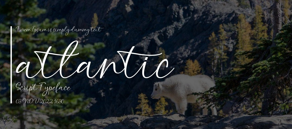 atlantic Script Font