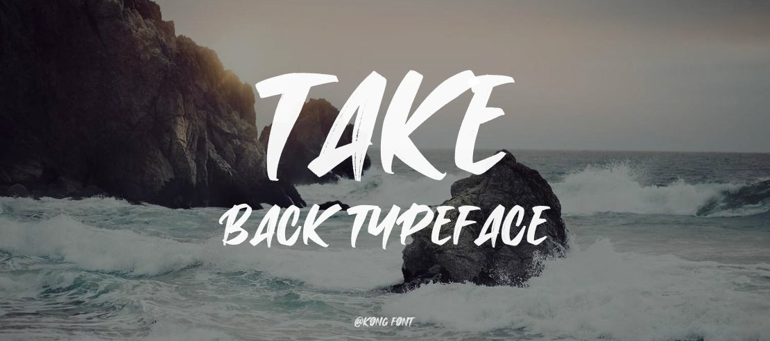 Take Back Font