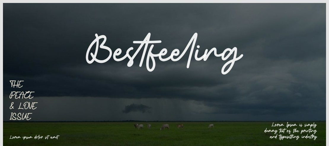 Bestfeeling Font