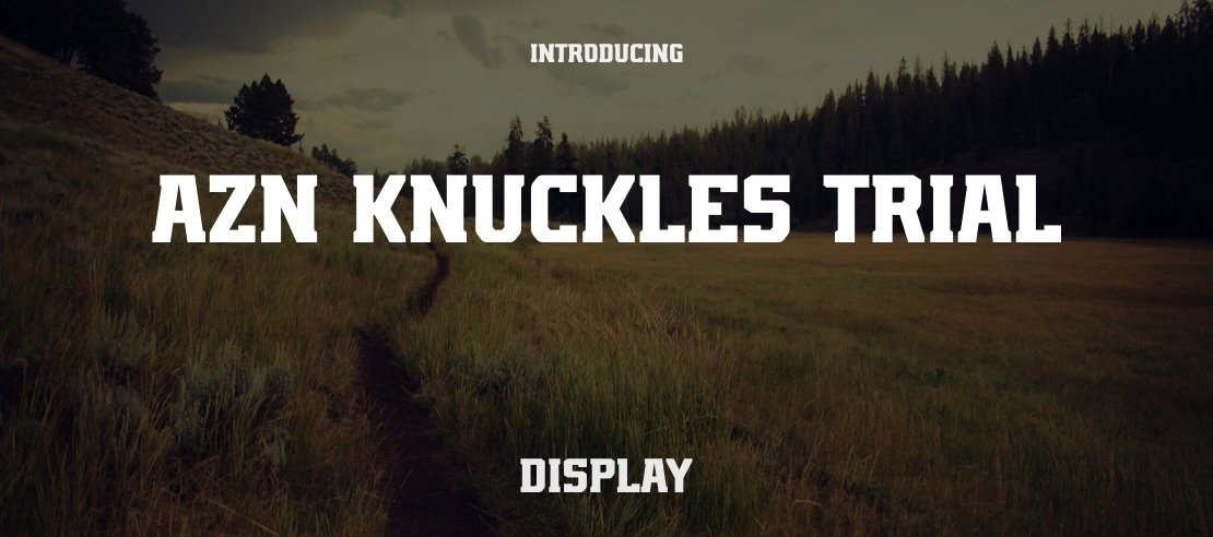 AZN Knuckles Trial Font Family