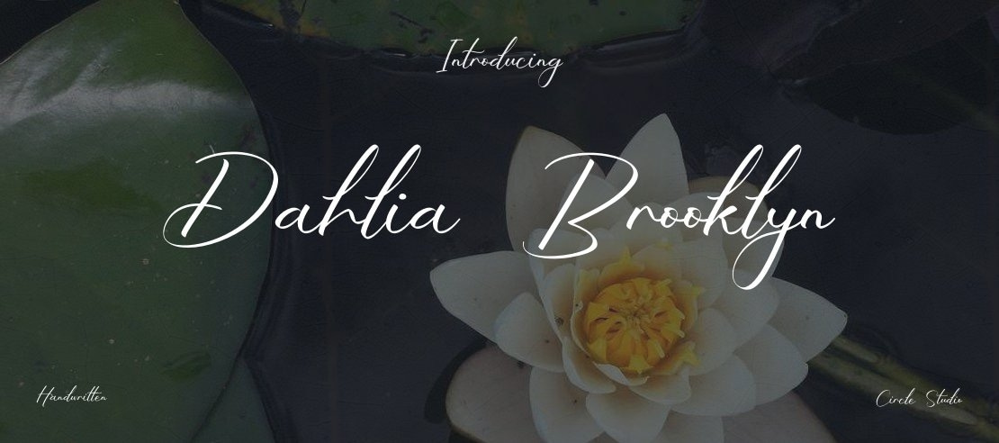 Dahlia Brooklyn Font