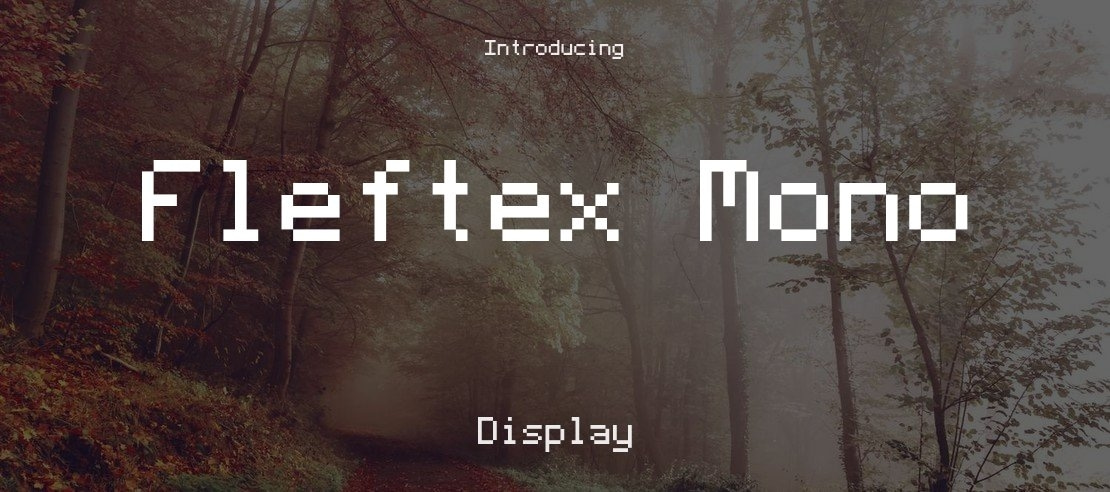 Fleftex Mono Font