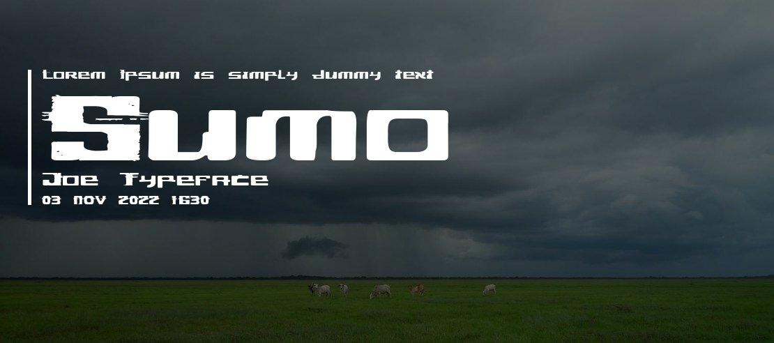 Sumo Joe Font