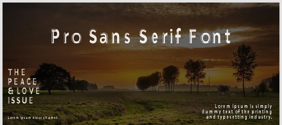 Pro Sans Serif Font