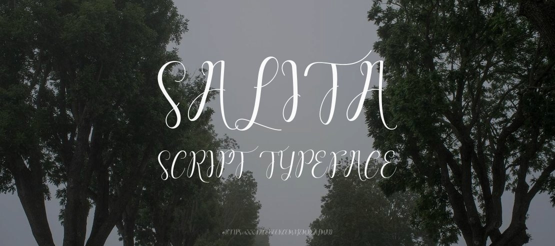 salita script Font