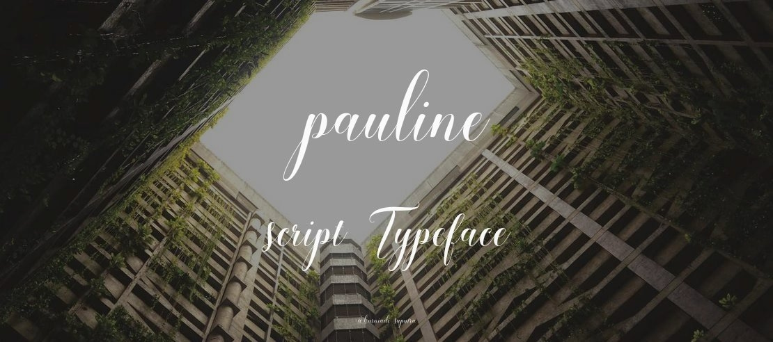 pauline script Font