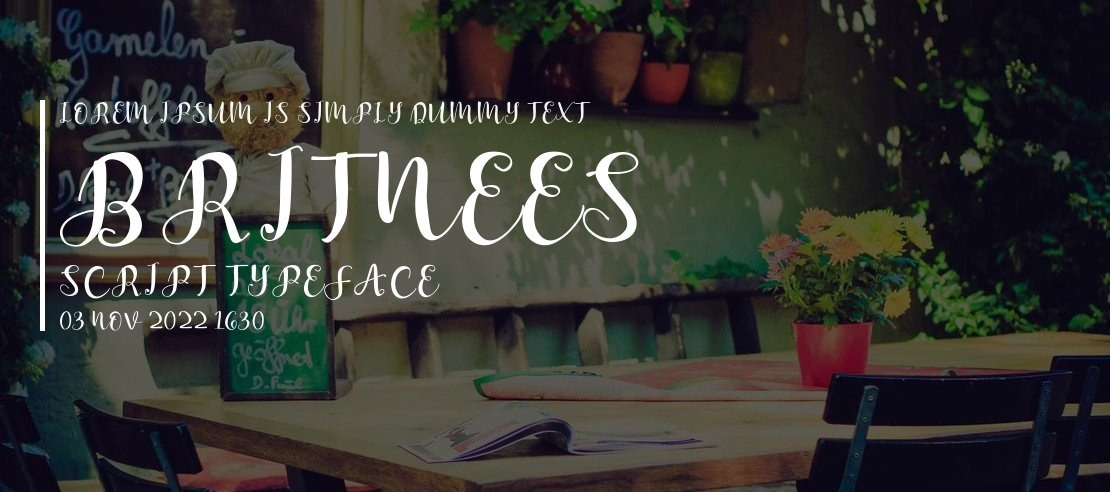 Britnees Script Font