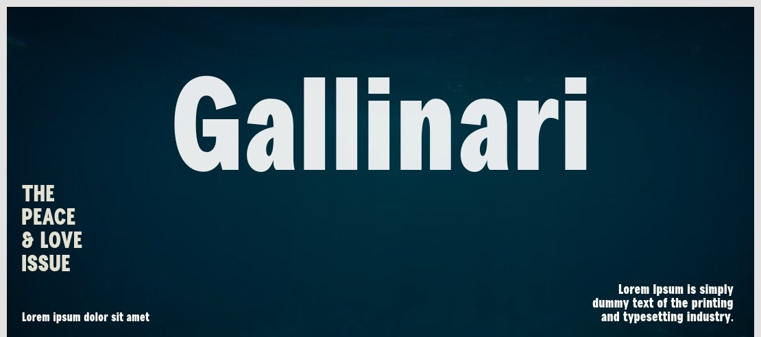 Gallinari Font Family