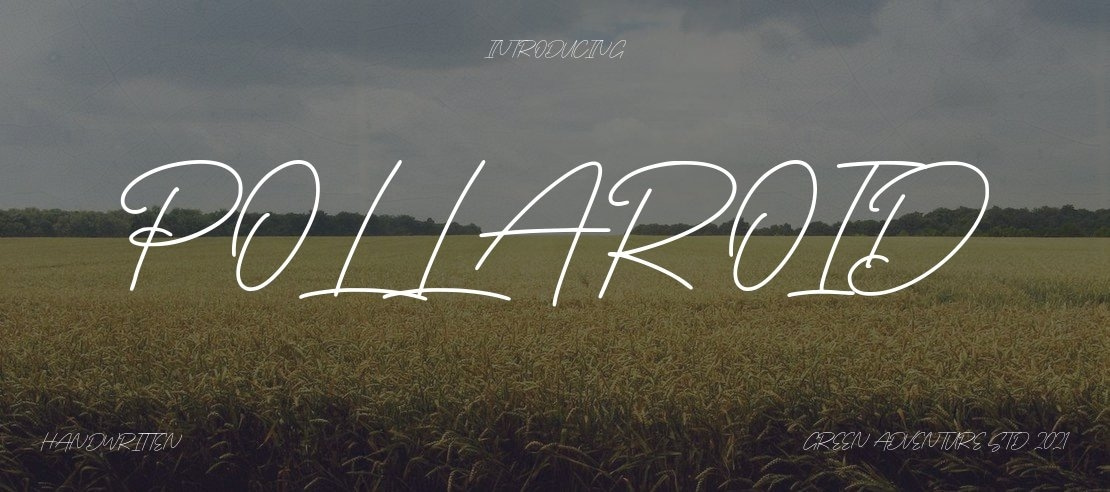 Pollaroid Font